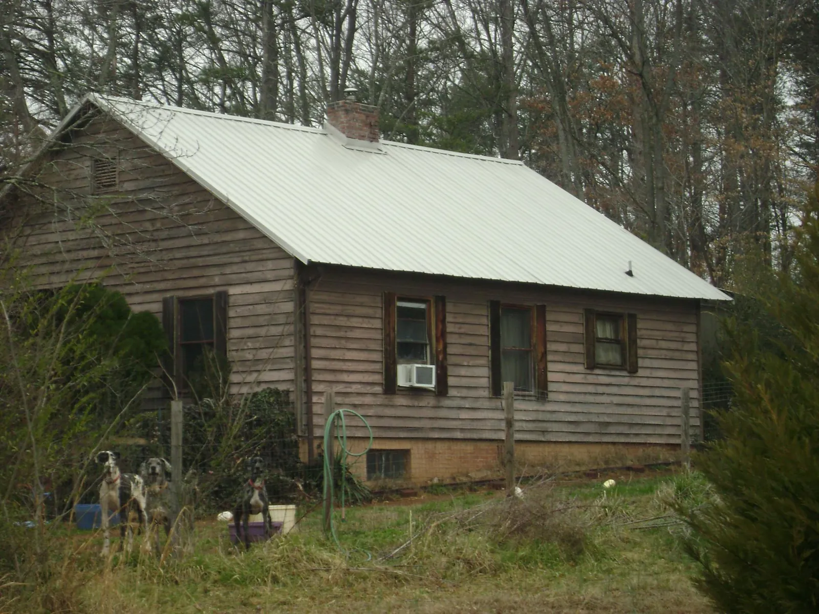 White metal roof on an old wood sided farmhouse, from a Metal Roof Installation job in Frenchglen